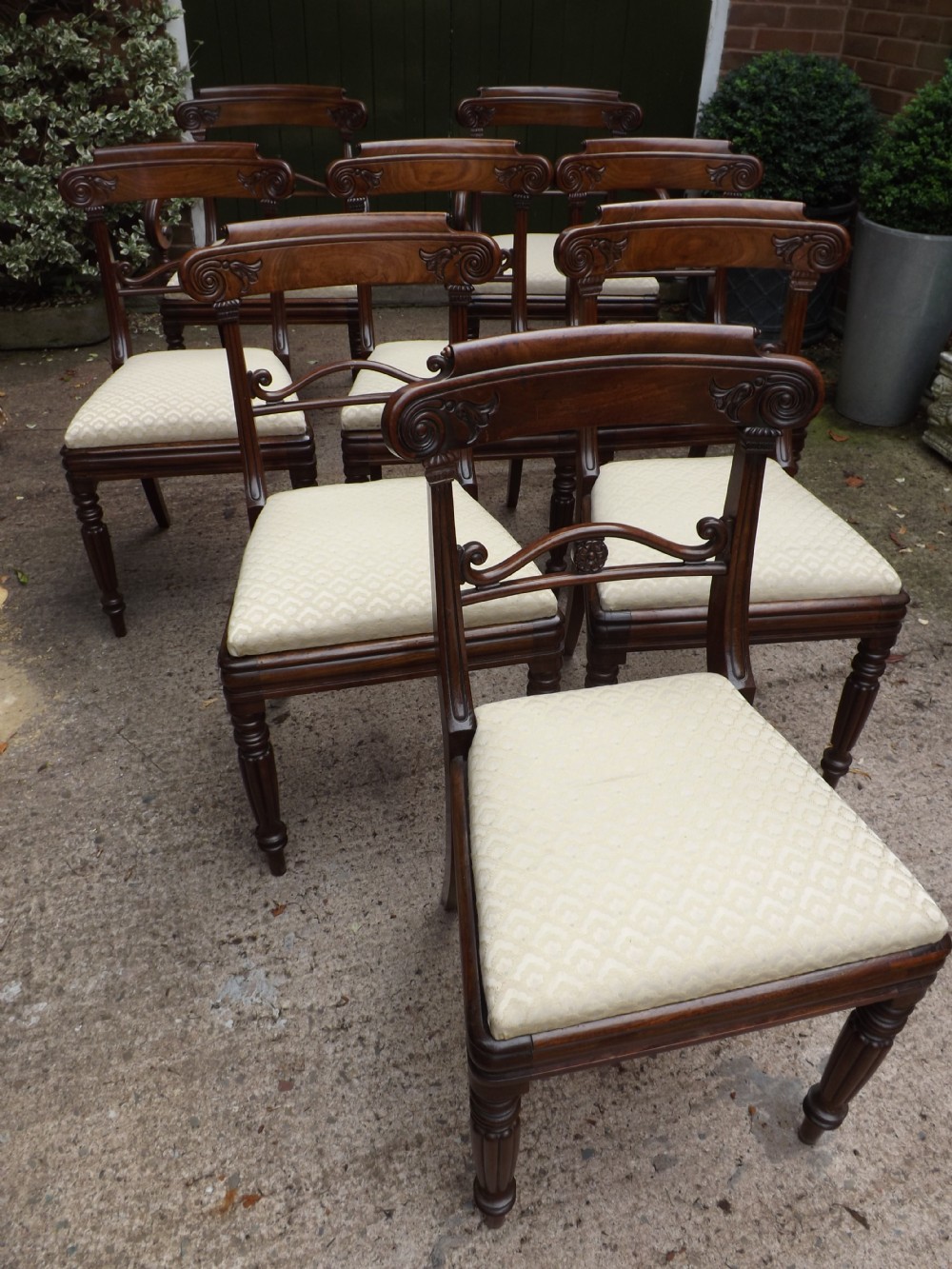set of 8 regency period mahogany dining chairs