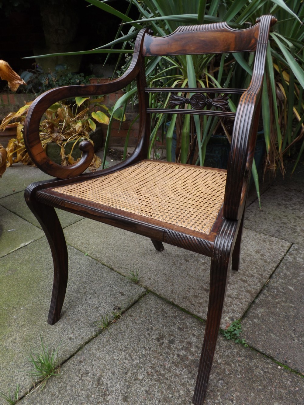 rare early c19th regency period angloindian coromandel armchair