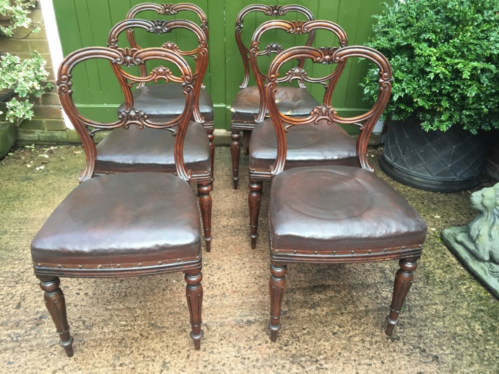 set of 6 c19th william iv period carved rosewood dining chairs