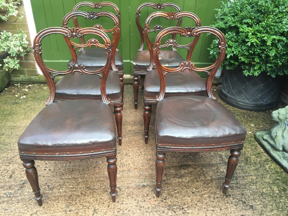 set of 6 c19th william iv period carved rosewood dining chairs