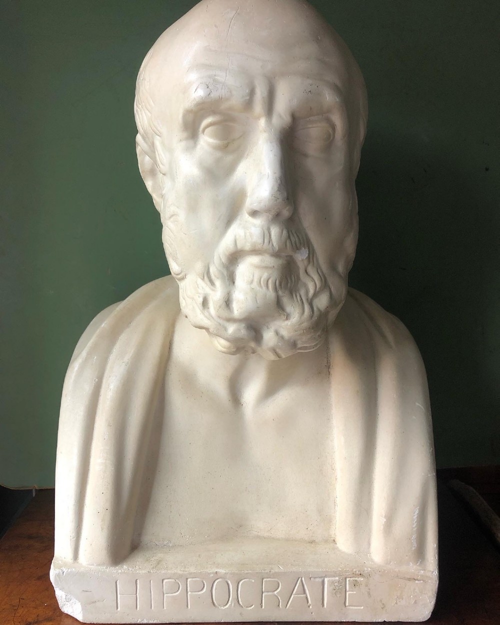 early c20th cast plaster lifesize library bust or herm study of hippocrates