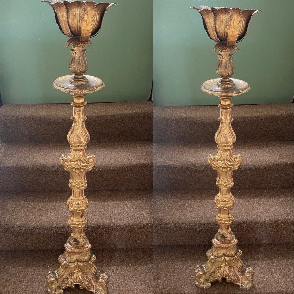 fine tall pair of c18th italian carved giltwood baroque altarstyle candlesticks
